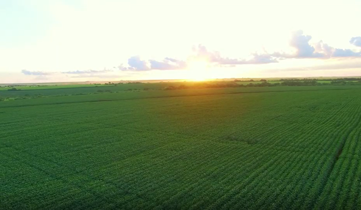 维维集团宣传片