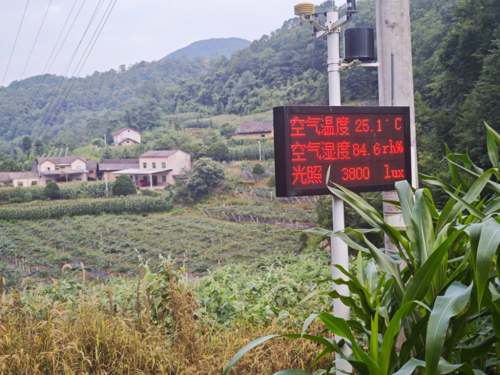 微信图片_20250721105320 微信图片_20250721105320