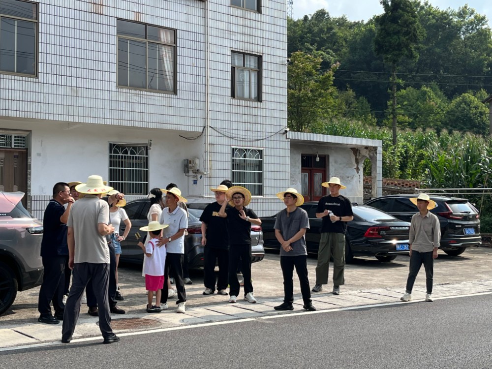 数字果园 武陵飘香