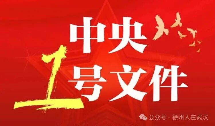 2026年中央一号文件权威解读来了！