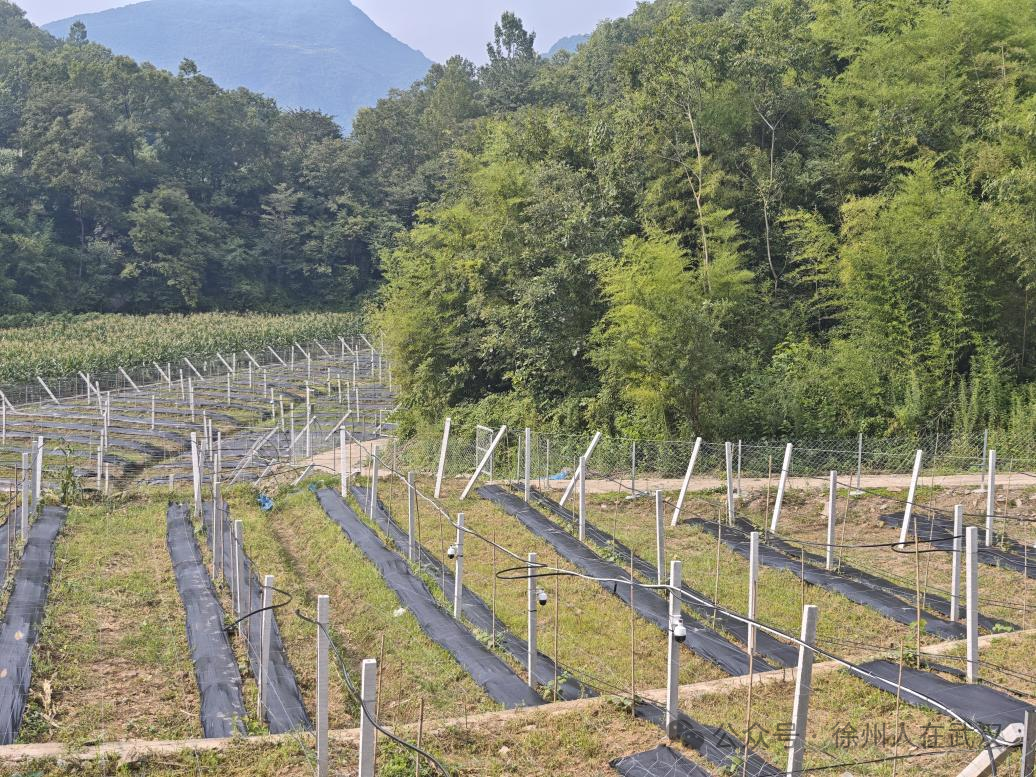 微信图片_20250730134418 微信图片_20250730134418