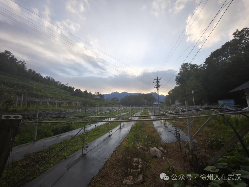 微信图片_20250730135616 微信图片_20250730135616